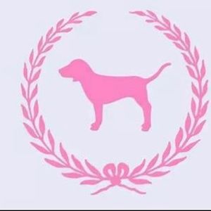 VICTORIA SECRET LONG SLEEVE TOP